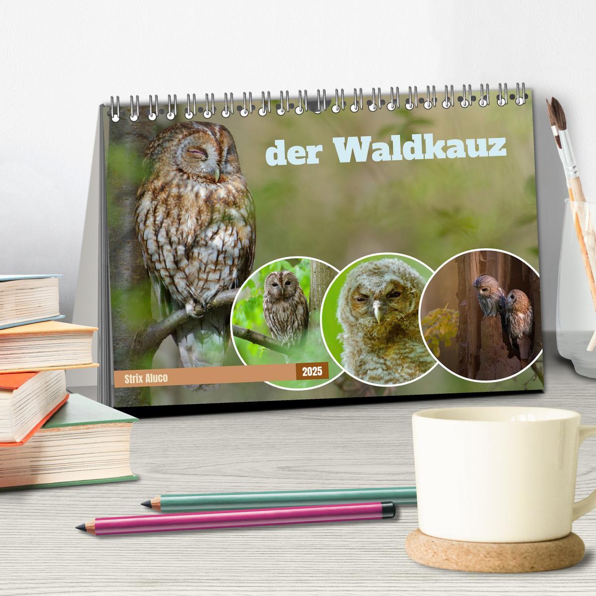 Bild: 9783383835186 | der Waldkauz - Strix Aluco (Tischkalender 2025 DIN A5 quer),...