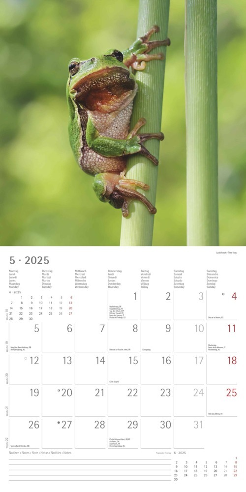 Bild: 4251732340803 | Alpha Edition - Wald &amp; Flur 2025 Broschürenkalender, 30x30cm,...