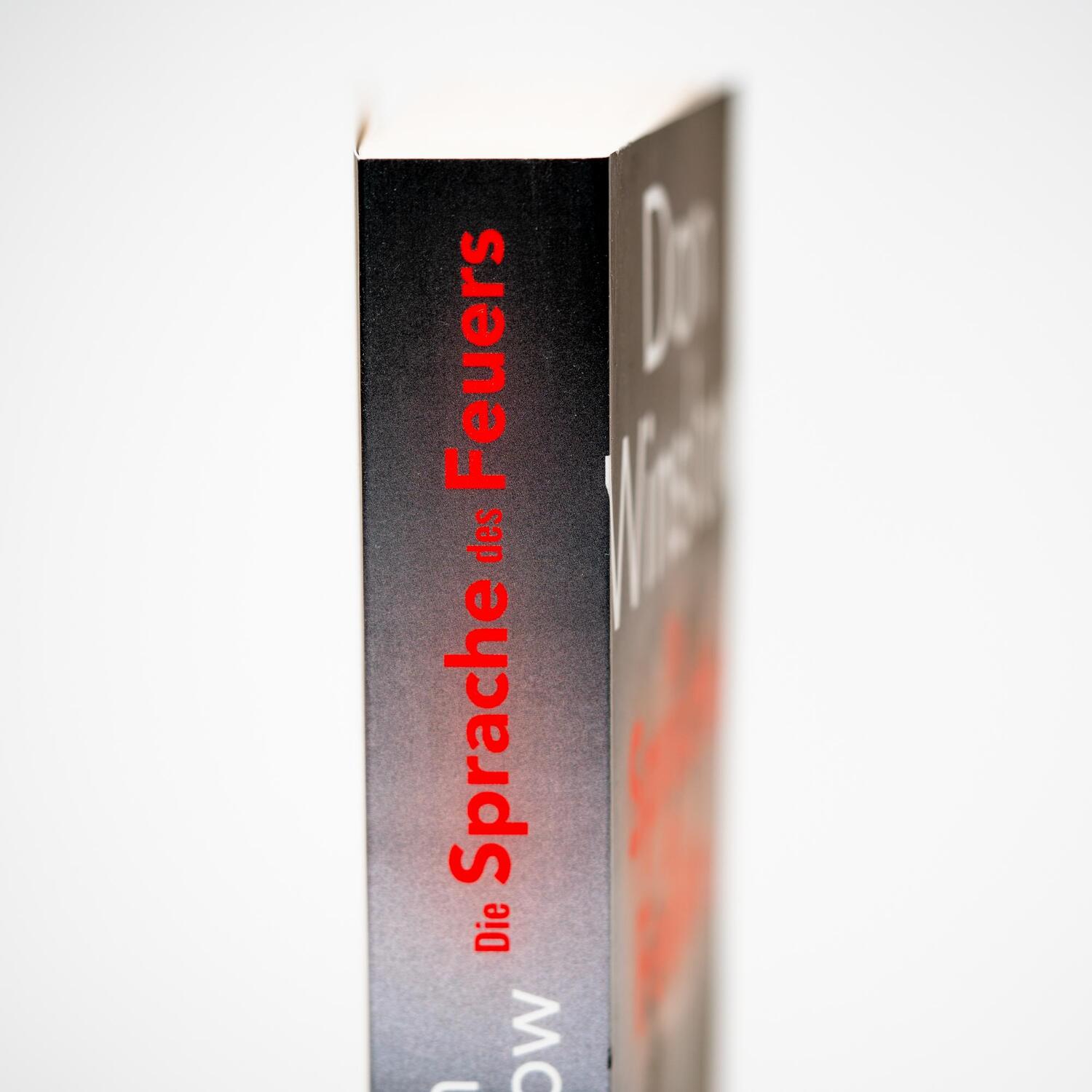 Bild: 9783365000908 | Die Sprache des Feuers | Thriller | Don Winslow | Taschenbuch | 432 S.