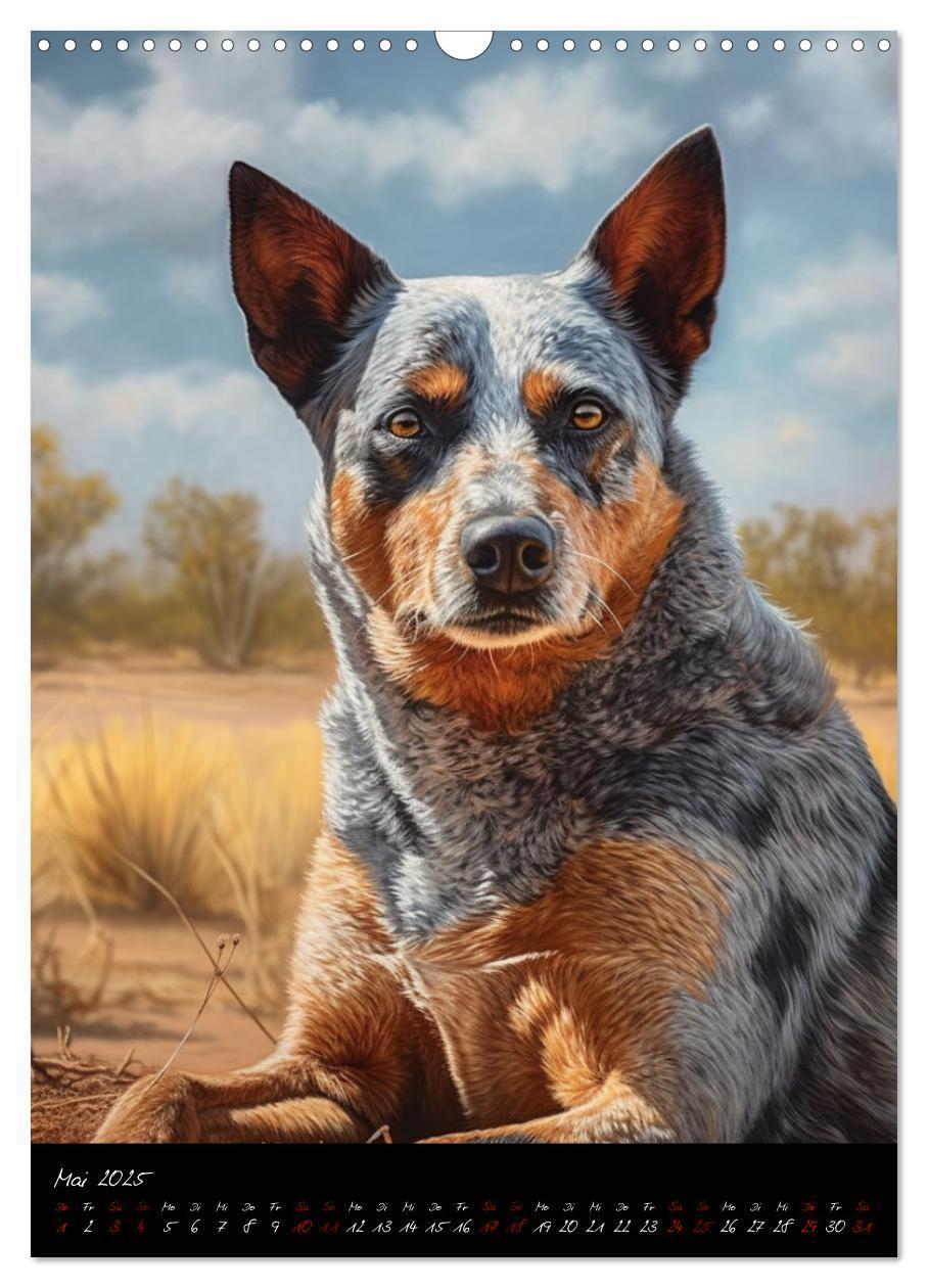 Bild: 9783435877072 | Australian Cattle Dogs (Wandkalender 2025 DIN A3 hoch), CALVENDO...