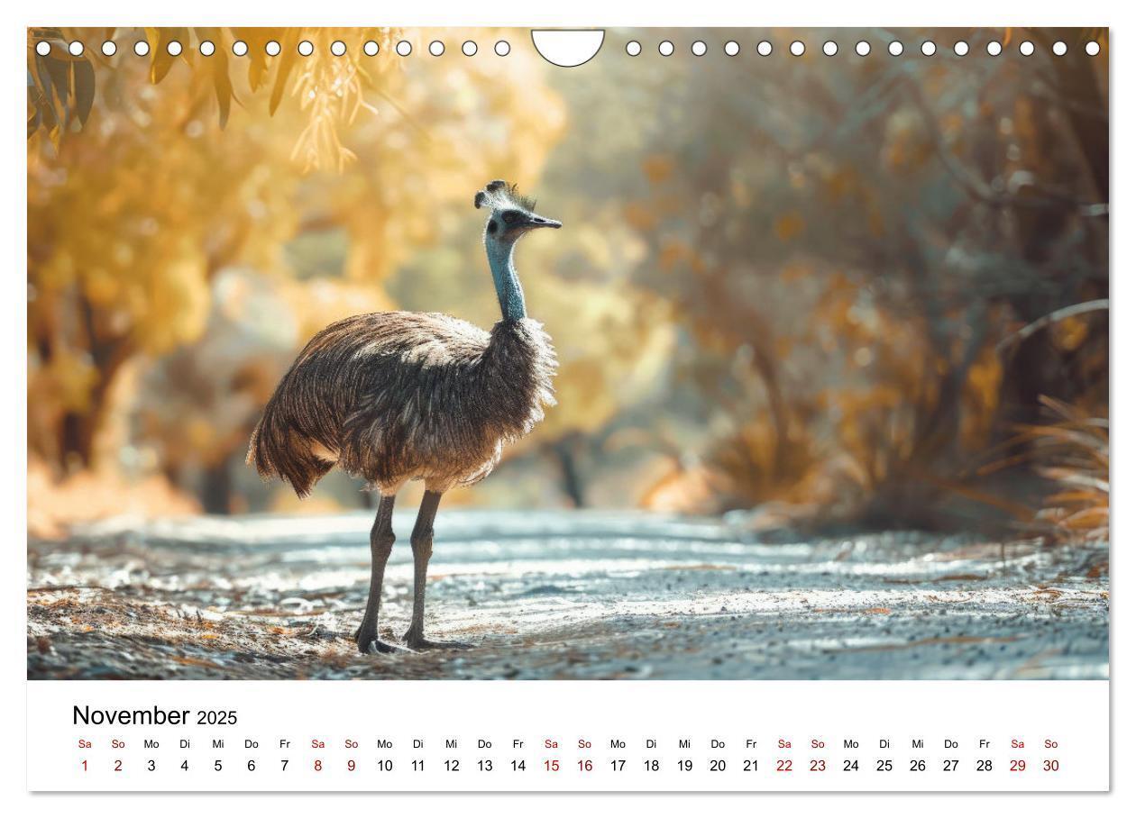 Bild: 9783383800641 | Wildes Down Under: Tiere des Australischen Kontinents (Wandkalender...