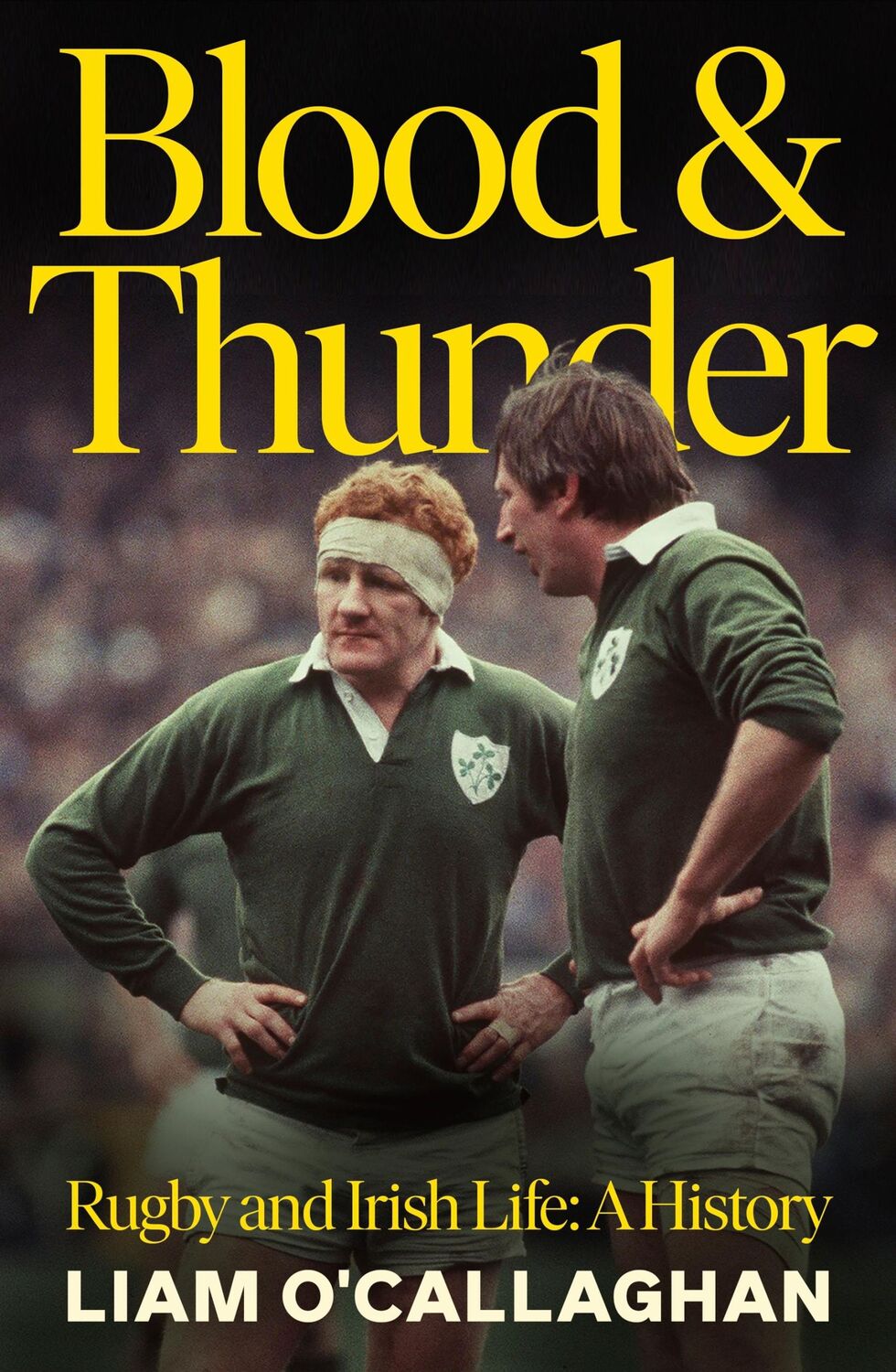 Cover: 9781844886616 | Blood and Thunder | Rugby and Irish Life: A History | Liam O'Callaghan