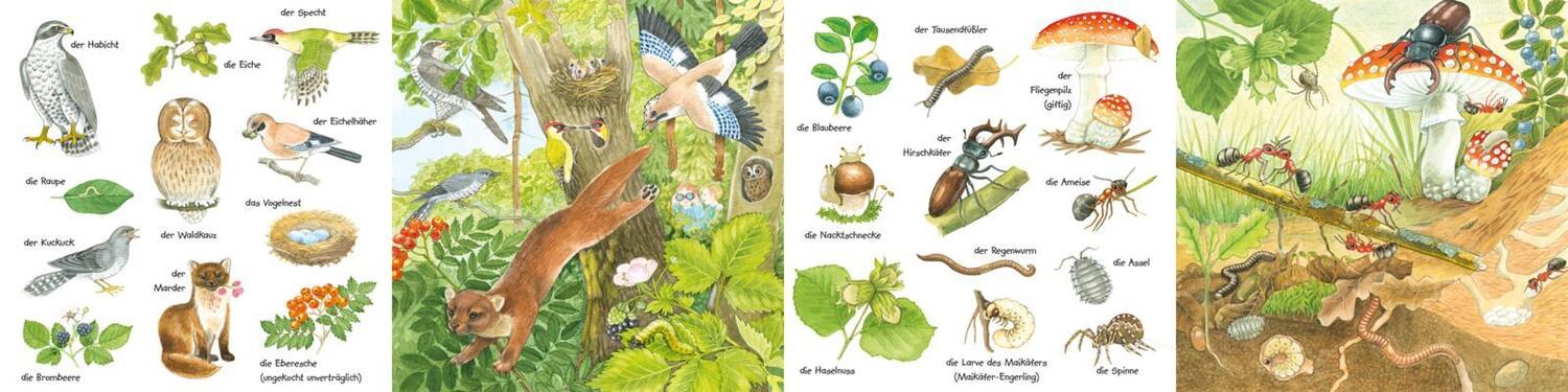 Bild: 9783551173027 | Mein kleines buntes Bildwörterbuch: Im Wald | Christine Henkel | Buch