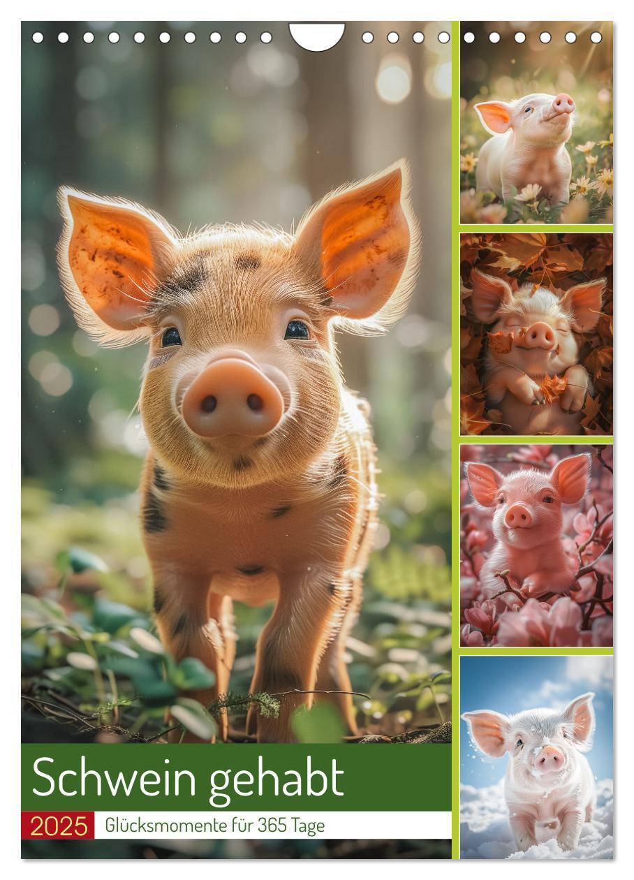 Cover: 9783457160459 | Schwein gehabt (Wandkalender 2025 DIN A4 hoch), CALVENDO...