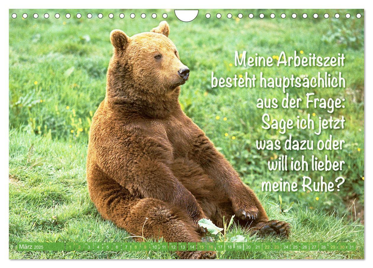 Bild: 9783383853494 | Spaß mit Bären: Edition lustige Tiere (Wandkalender 2025 DIN A4...