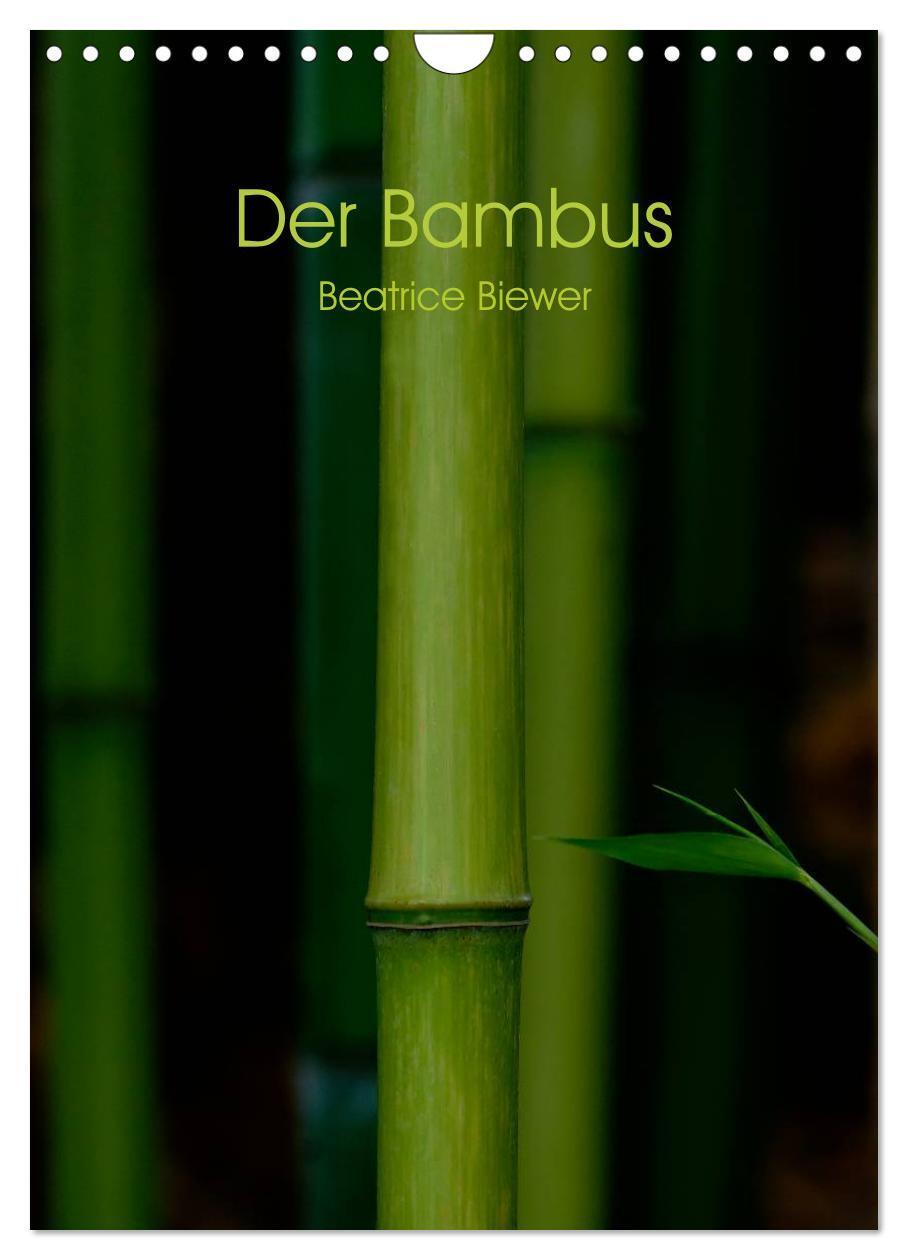 Cover: 9783457017463 | Der Bambus (Wandkalender 2025 DIN A4 hoch), CALVENDO Monatskalender