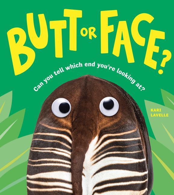 Cover: 9781728271170 | Butt or Face? | Kari Lavelle | Buch | Gebunden | Englisch | 2023