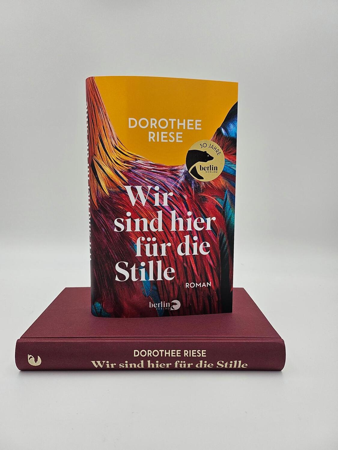 Bild: 9783827014931 | Wir sind hier für die Stille | Dorothee Riese | Buch | 240 S. | 2024