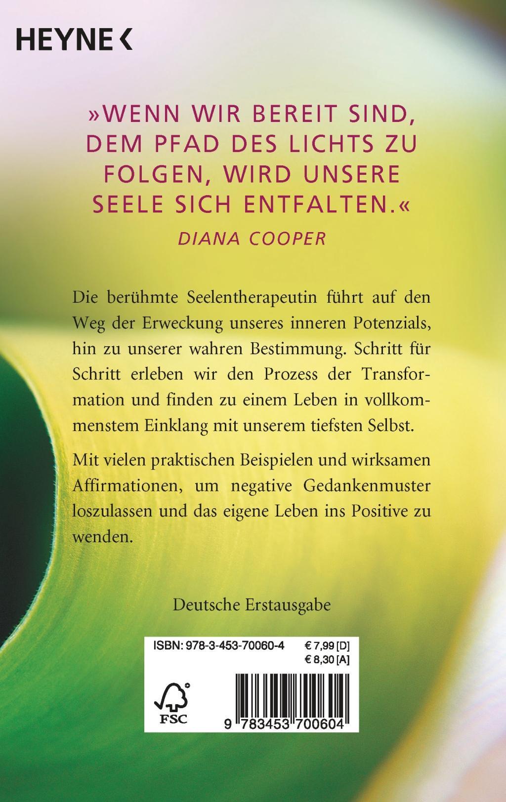 Bild: 9783453700604 | Begegne deiner Seele | Diana Cooper | Taschenbuch | 256 S. | Deutsch