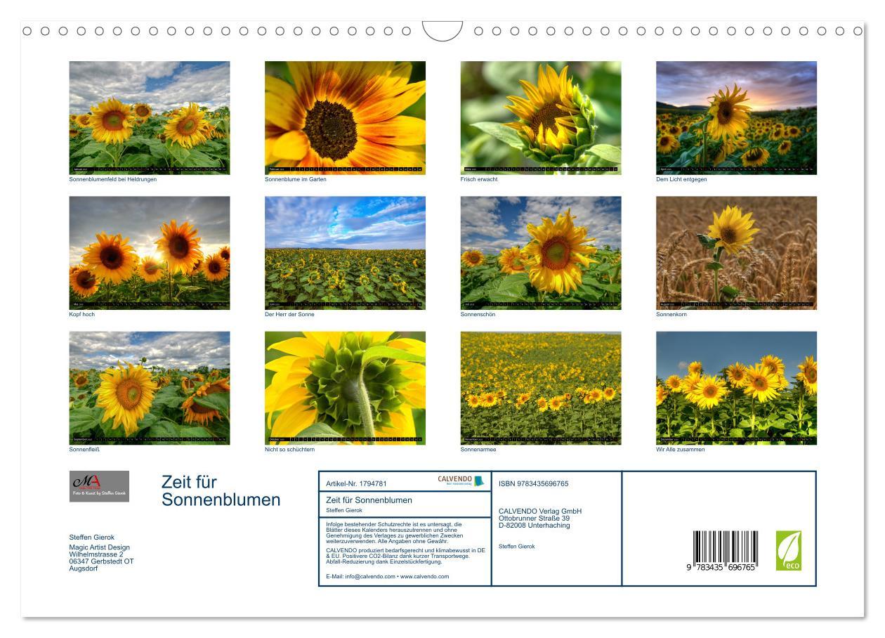 Bild: 9783435696765 | Zeit für Sonnenblumen (Wandkalender 2025 DIN A3 quer), CALVENDO...