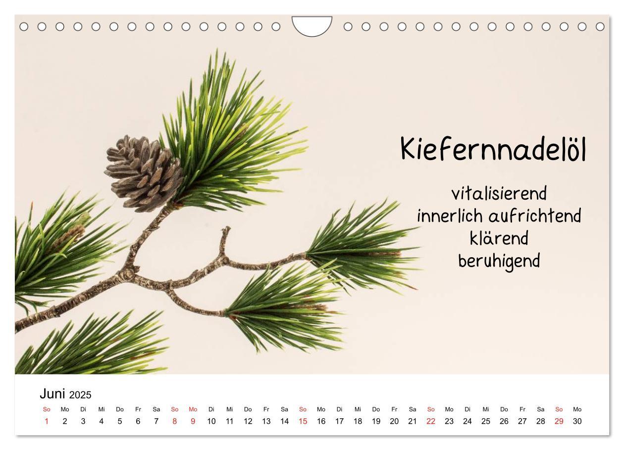 Bild: 9783435515028 | Aromatherapie - Düfte für die Seele (Wandkalender 2025 DIN A4...