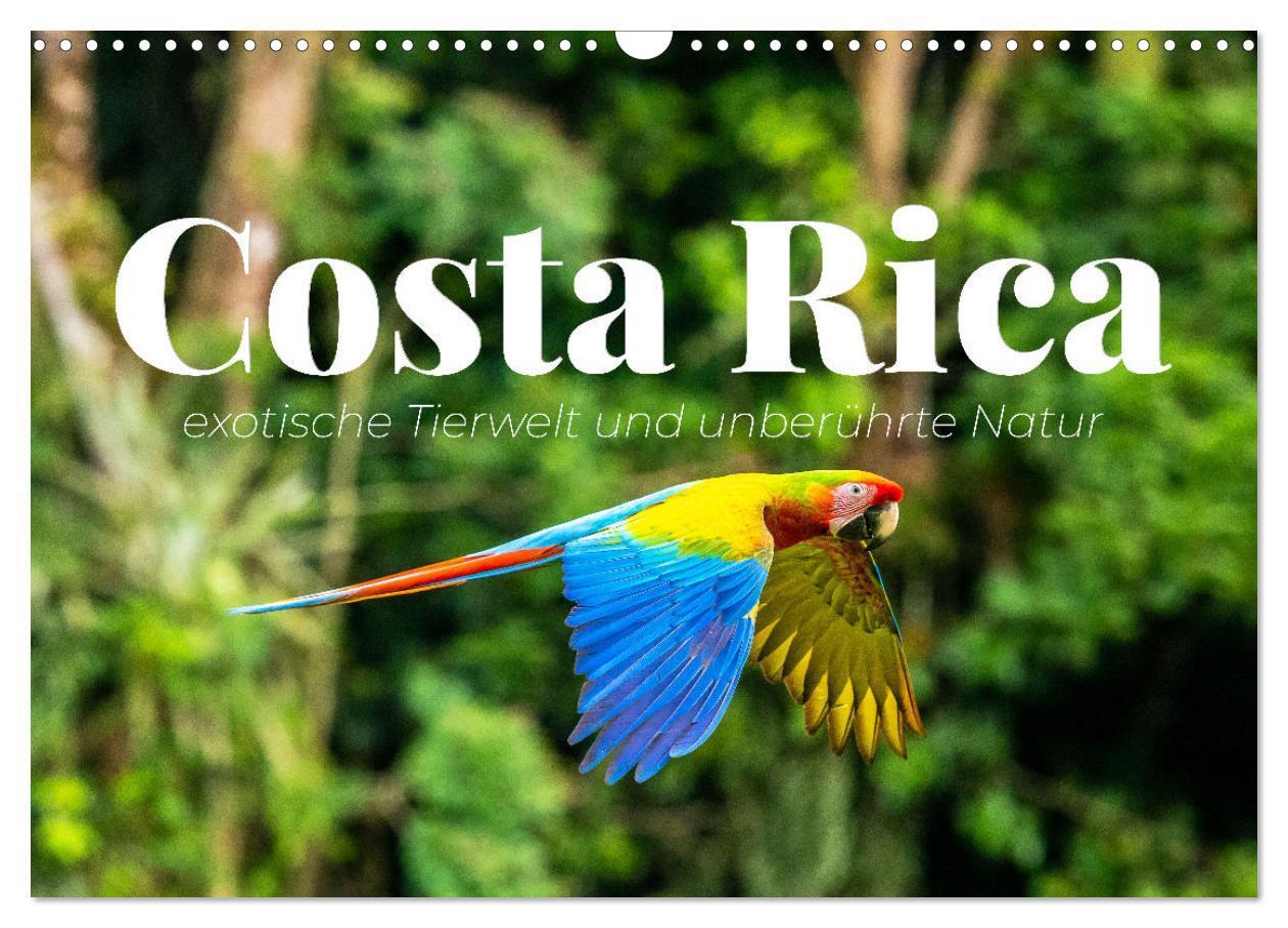 Cover: 9783435153534 | Costa Rica - exotische Tierwelt und unberührte Natur (Wandkalender...