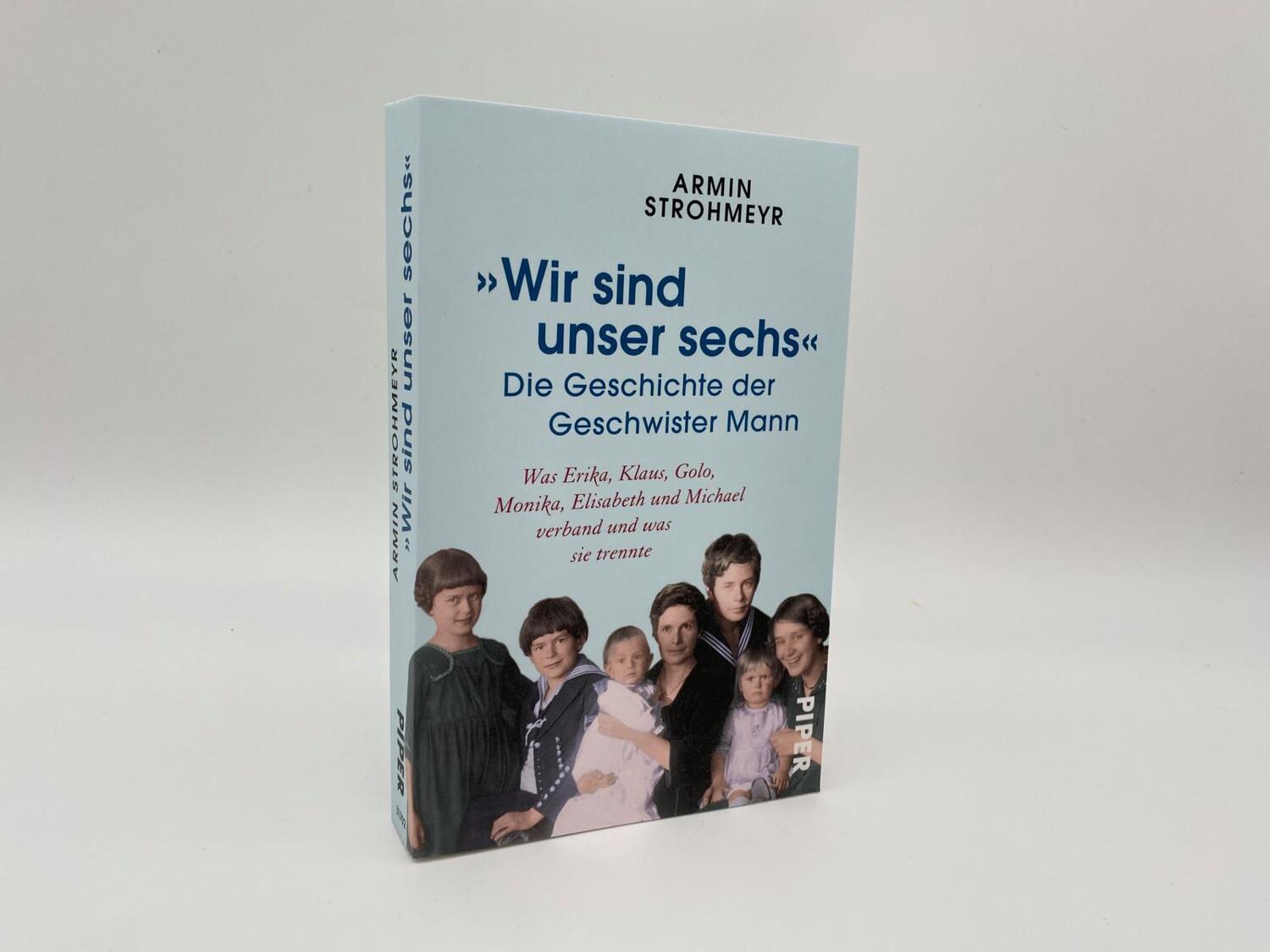 Bild: 9783492317023 | 'Wir sind unser sechs' - Die Geschichte der Geschwister Mann | Buch