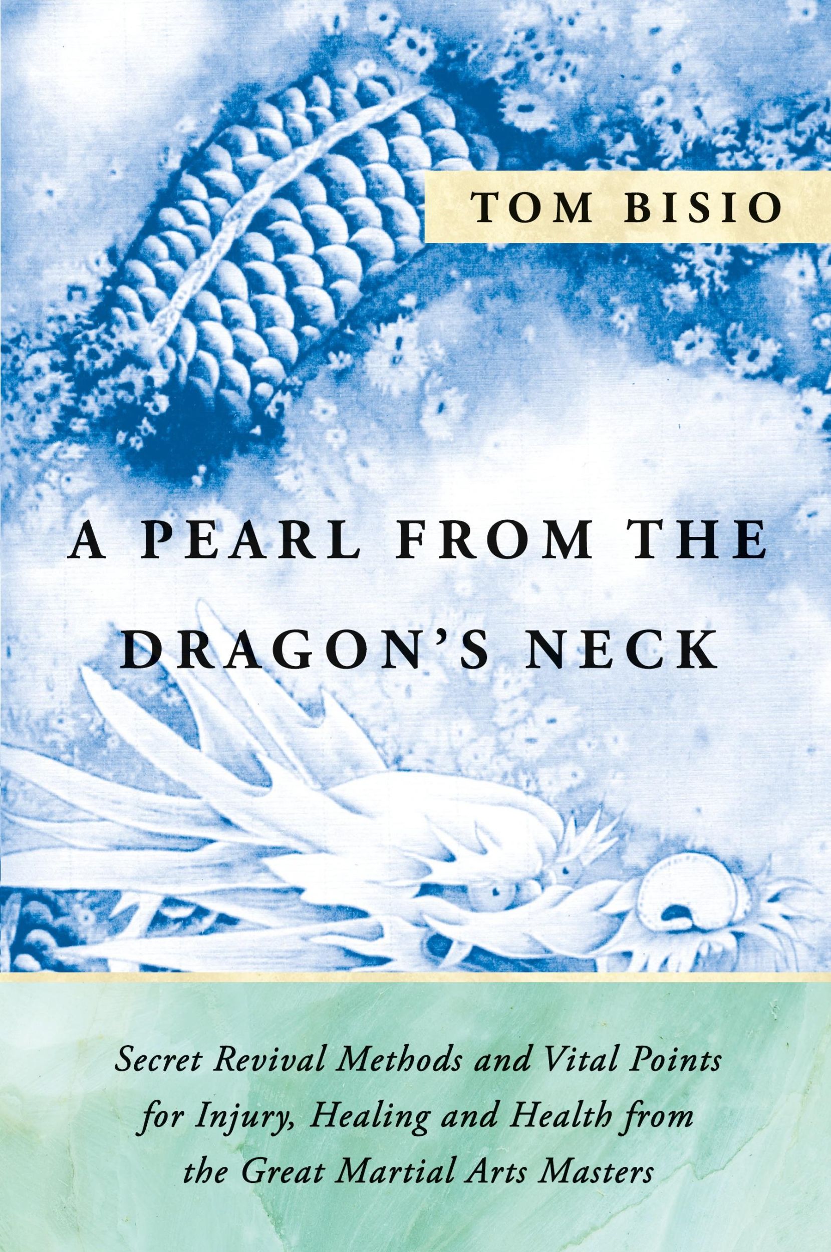 Cover: 9781977208194 | A Pearl from the Dragon's Neck | Tom Bisio | Taschenbuch | Englisch