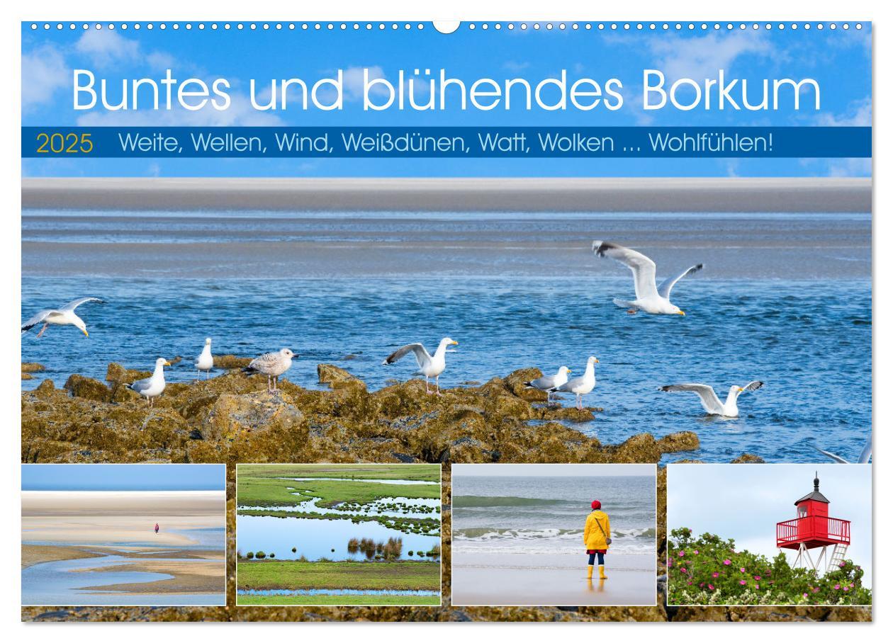 Cover: 9783457145913 | Buntes und blühendes Borkum (Wandkalender 2025 DIN A2 quer),...