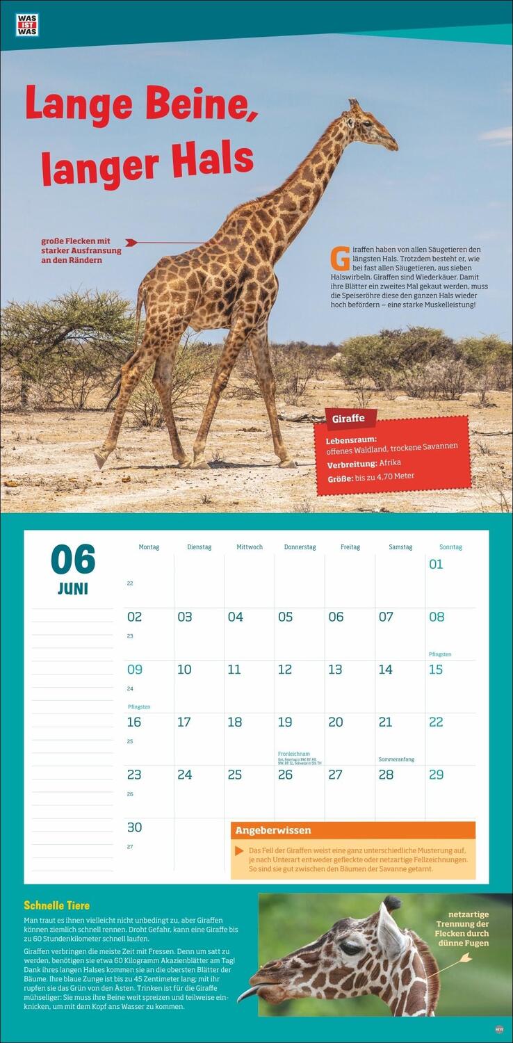 Bild: 9783756405541 | WAS IST WAS Tierwelt Broschurkalender 2025 | Kalender | 28 S. | 2025