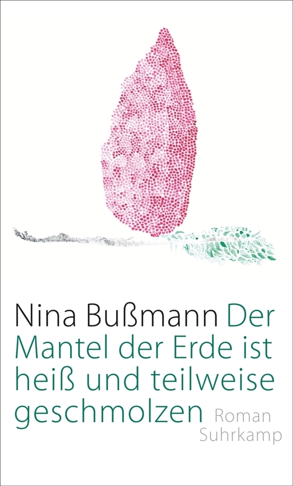 Cover: 9783518425800 | Der Mantel der Erde ist heiß und teilweise geschmolzen | Roman | Buch