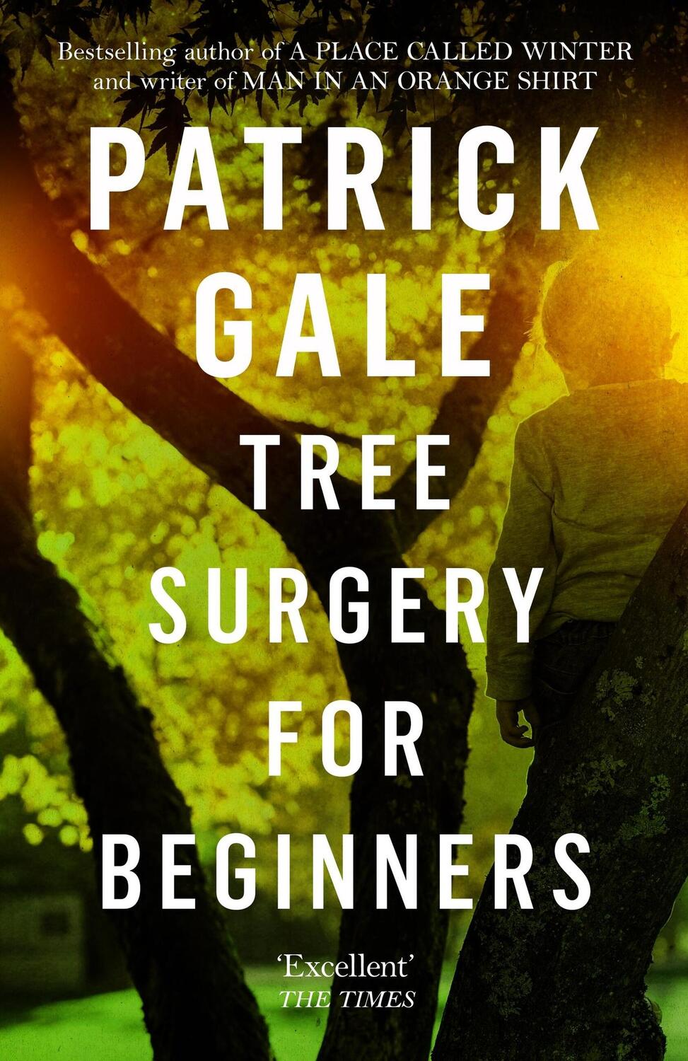 Cover: 9781472255501 | Tree Surgery for Beginners | Patrick Gale | Taschenbuch | Englisch