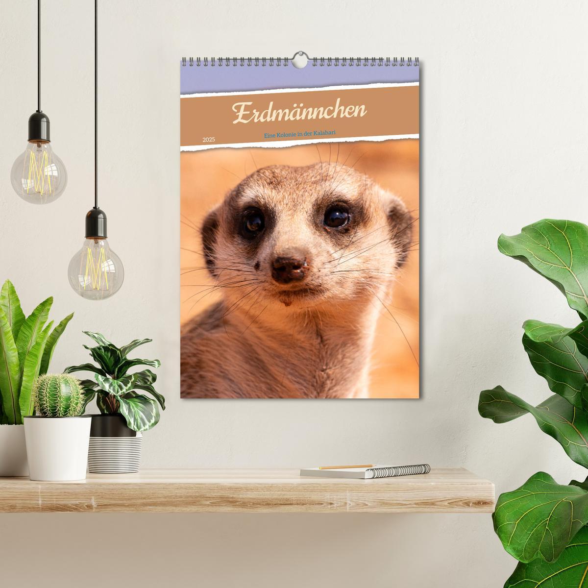 Bild: 9783435853687 | Erdmännchen - Eine Kolonie in der Kalahari (Wandkalender 2025 DIN...