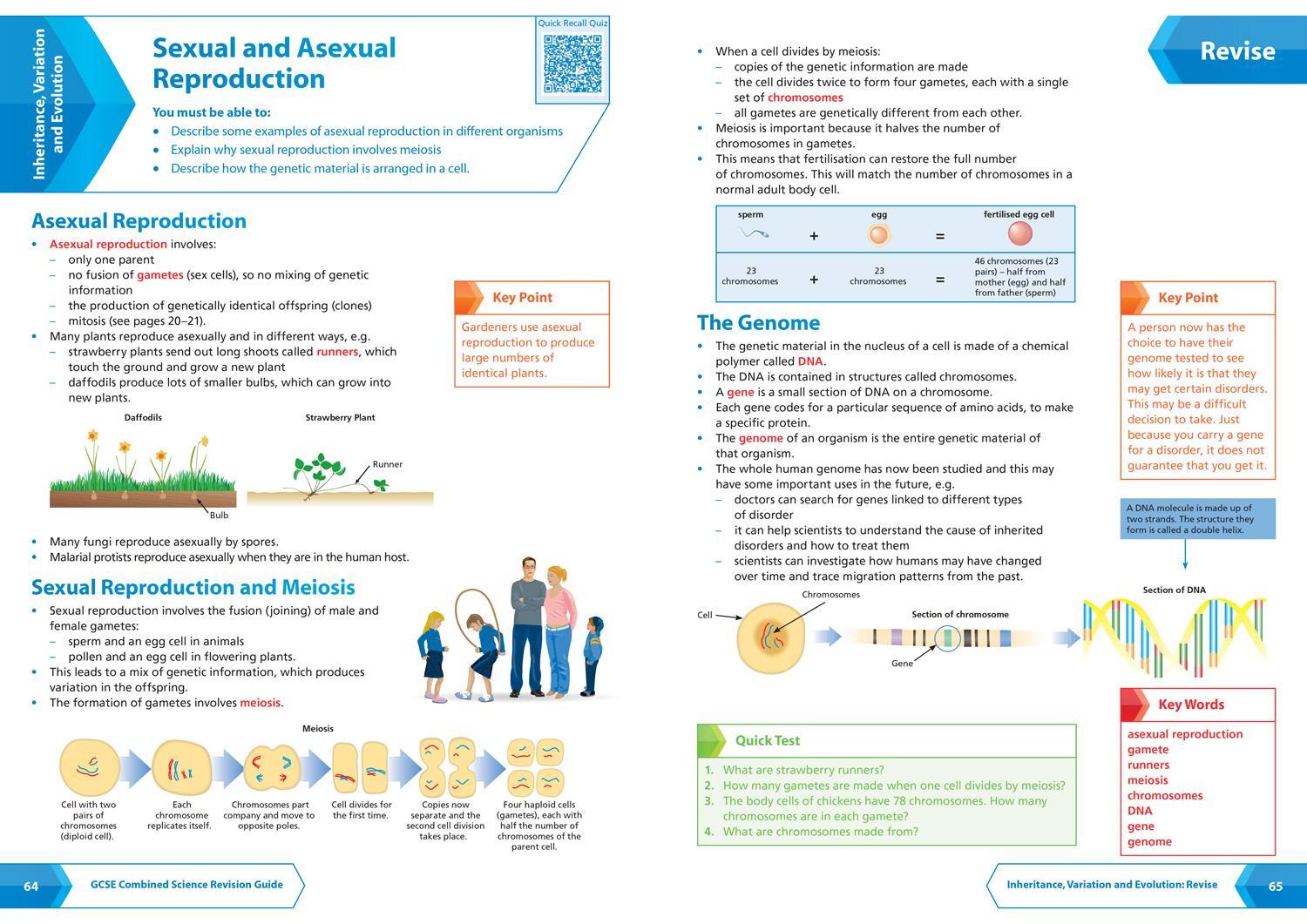 Bild: 9780008160852 | AQA GCSE 9-1 Combined Science Foundation All-in-One Complete...