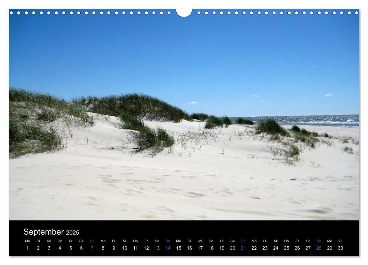 Bild: 9783435787920 | Die Insel Amrum (Wandkalender 2025 DIN A3 quer), CALVENDO...