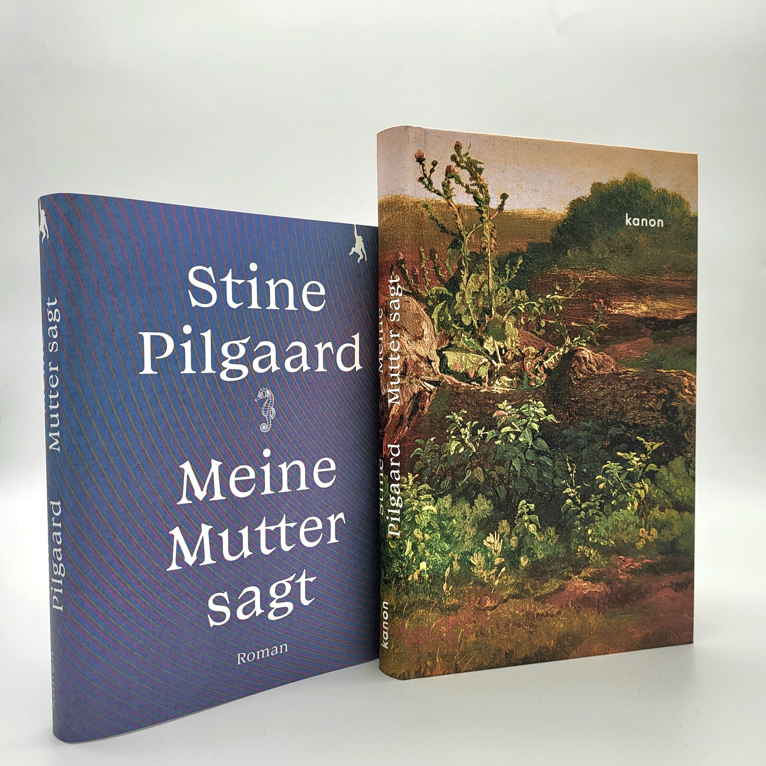 Bild: 9783985680313 | Meine Mutter sagt | Roman | Stine Pilgaard | Buch | 192 S. | Deutsch