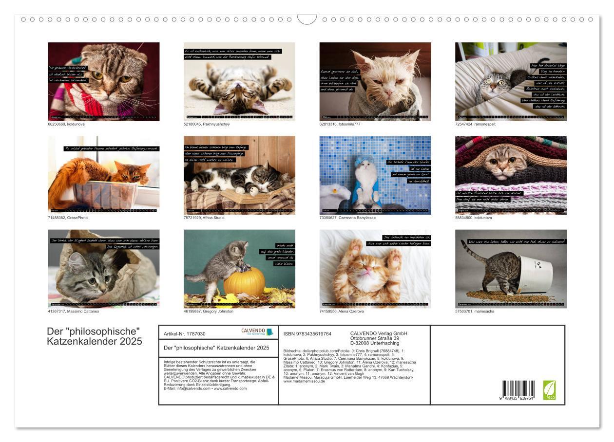 Bild: 9783435619764 | Der "philosophische" Katzenkalender 2025 (Wandkalender 2025 DIN A2...