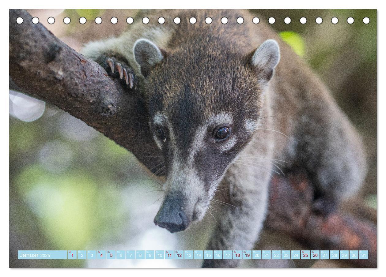 Bild: 9783383999116 | Mexiko - Die wunderschöne Halbinsel Yucatán Fotokalender 2025...