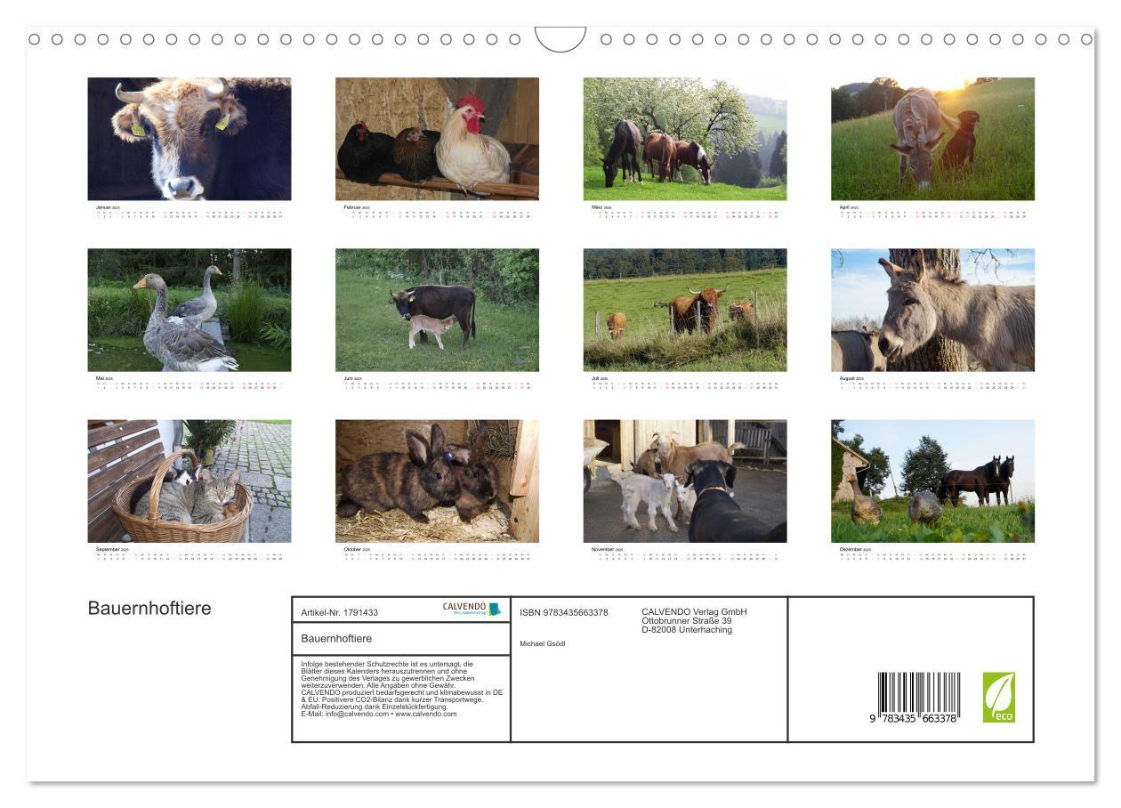 Bild: 9783435663378 | Bauernhoftiere (Wandkalender 2025 DIN A3 quer), CALVENDO...