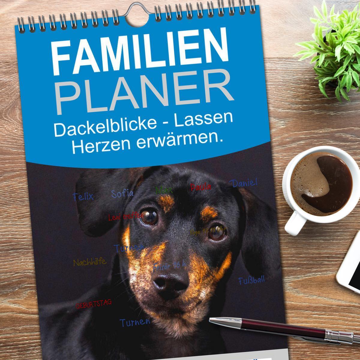 Bild: 9783457097267 | Familienplaner 2025 - Dackelblicke - Lassen Herzen erwärmen. mit 5...