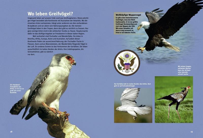 Bild: 9783866593374 | Entdecke die Greifvögel | Mit großem Greifvogelquiz | Thomas Schmidt