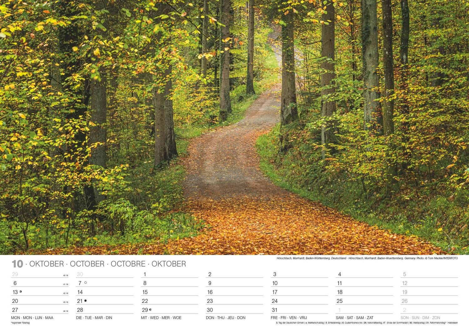 Bild: 4002725994288 | Malerische Wege 2025 - Wand-Kalender - 42x29,7 - Natur | Neumann