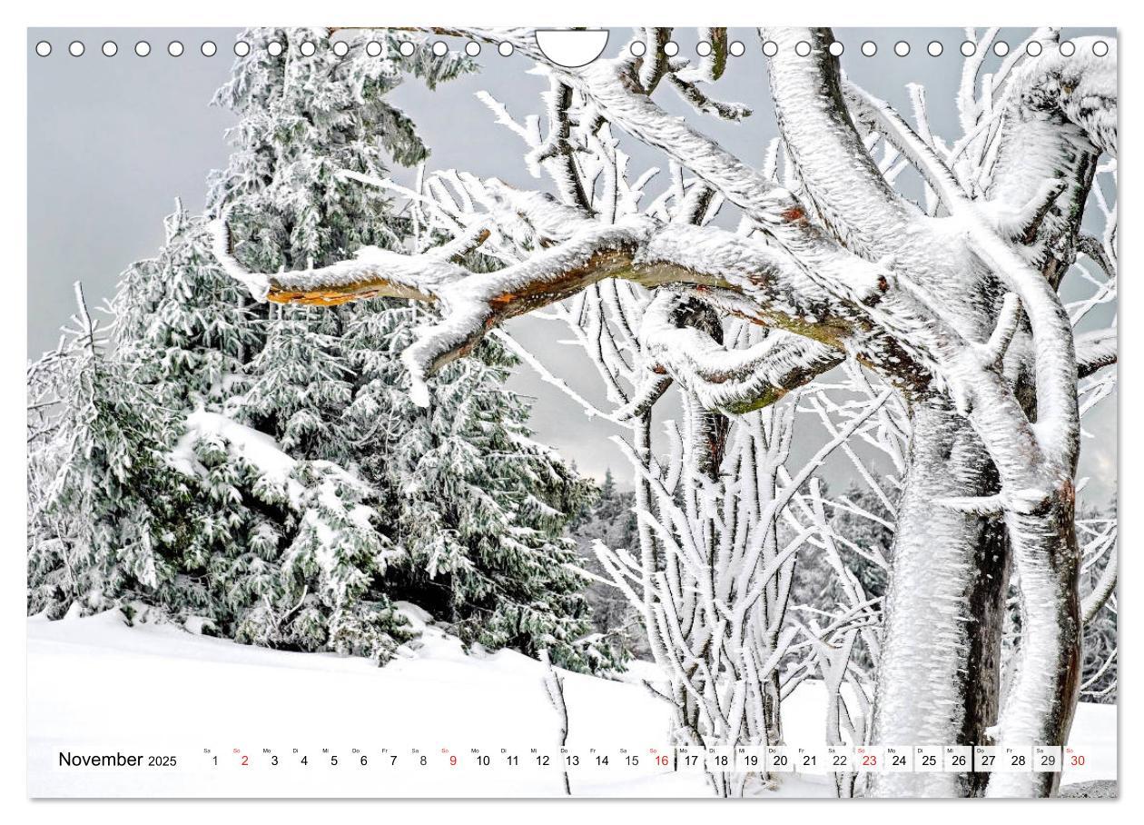 Bild: 9783435175383 | Eiszeit. Winter und Frost in der Natur (Wandkalender 2025 DIN A4...