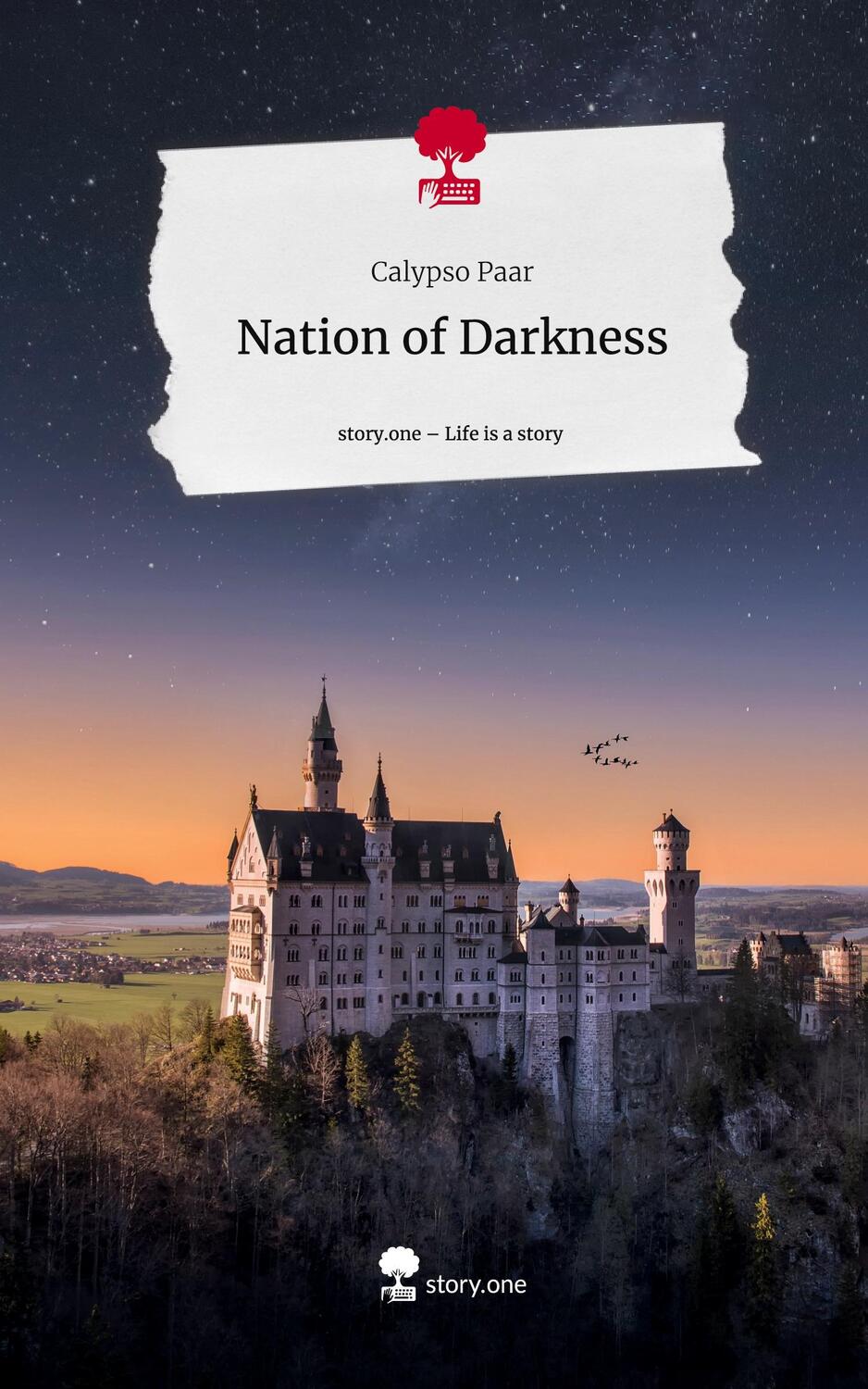 Cover: 9783711503701 | Nation of Darkness. Life is a Story - story.one | Calypso Paar | Buch