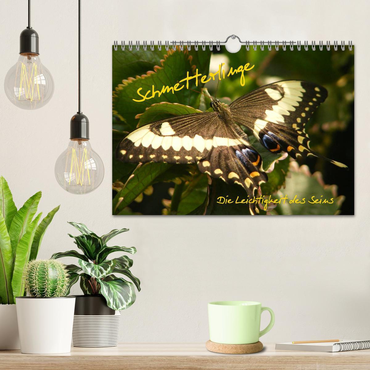 Bild: 9783435834266 | Schmetterlinge (Wandkalender 2025 DIN A4 quer), CALVENDO...