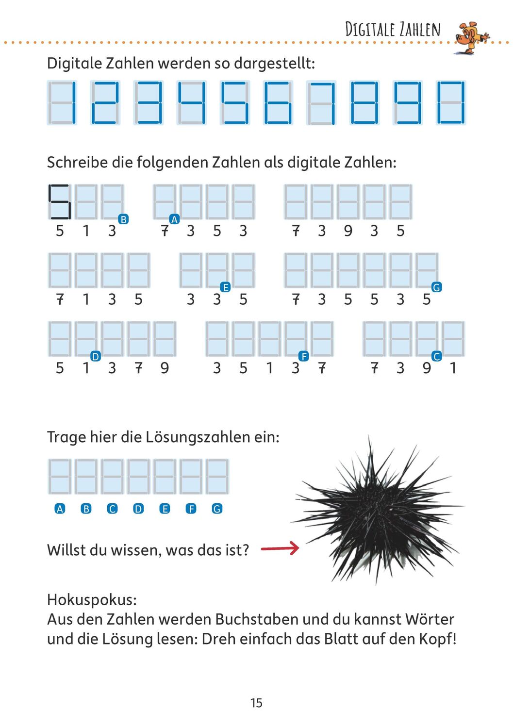 Bild: 9783881006330 | Rätselblock ab 8 Jahre, Band 1, A5-Block | Agnes Spiecker | Buch