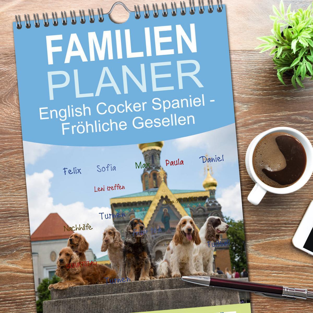 Bild: 9783457121726 | Familienplaner 2025 - English Cocker Spaniel - Fröhliche Gesellen...