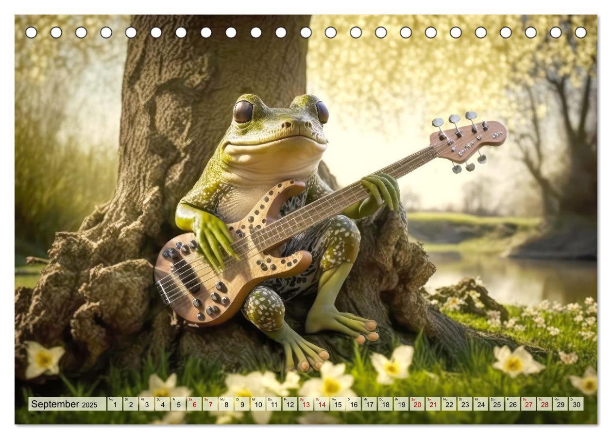 Bild: 9783383915505 | Frosch Konzert (Tischkalender 2025 DIN A5 quer), CALVENDO...