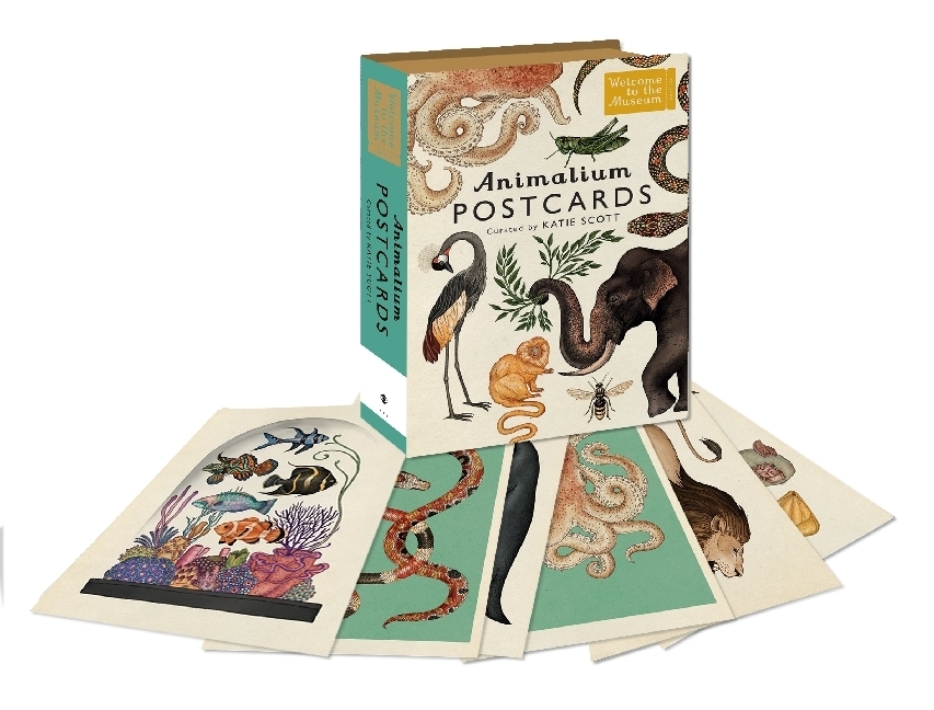 Cover: 9781783706259 | Animalium Postcards | Jenny Broom | Stück | Leinen (Buchleinen) | 2016