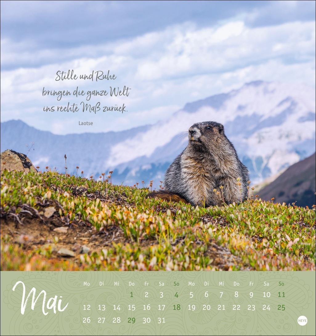 Bild: 9783756406944 | Stille Momente Postkartenkalender 2025 | Heye | Kalender | 13 S.