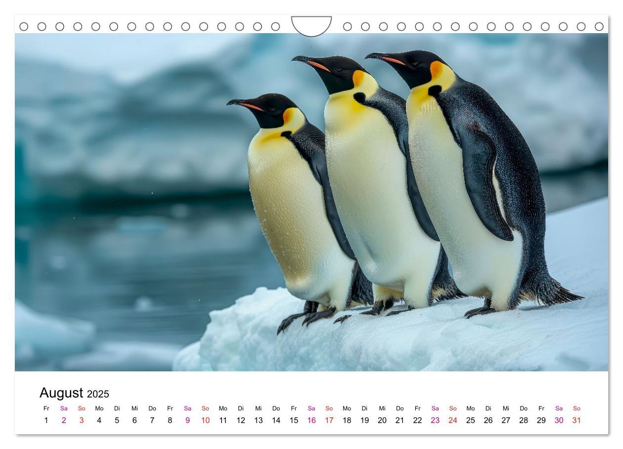 Bild: 9783457164389 | Maritim pur - Pinguine (Wandkalender 2025 DIN A4 quer), CALVENDO...