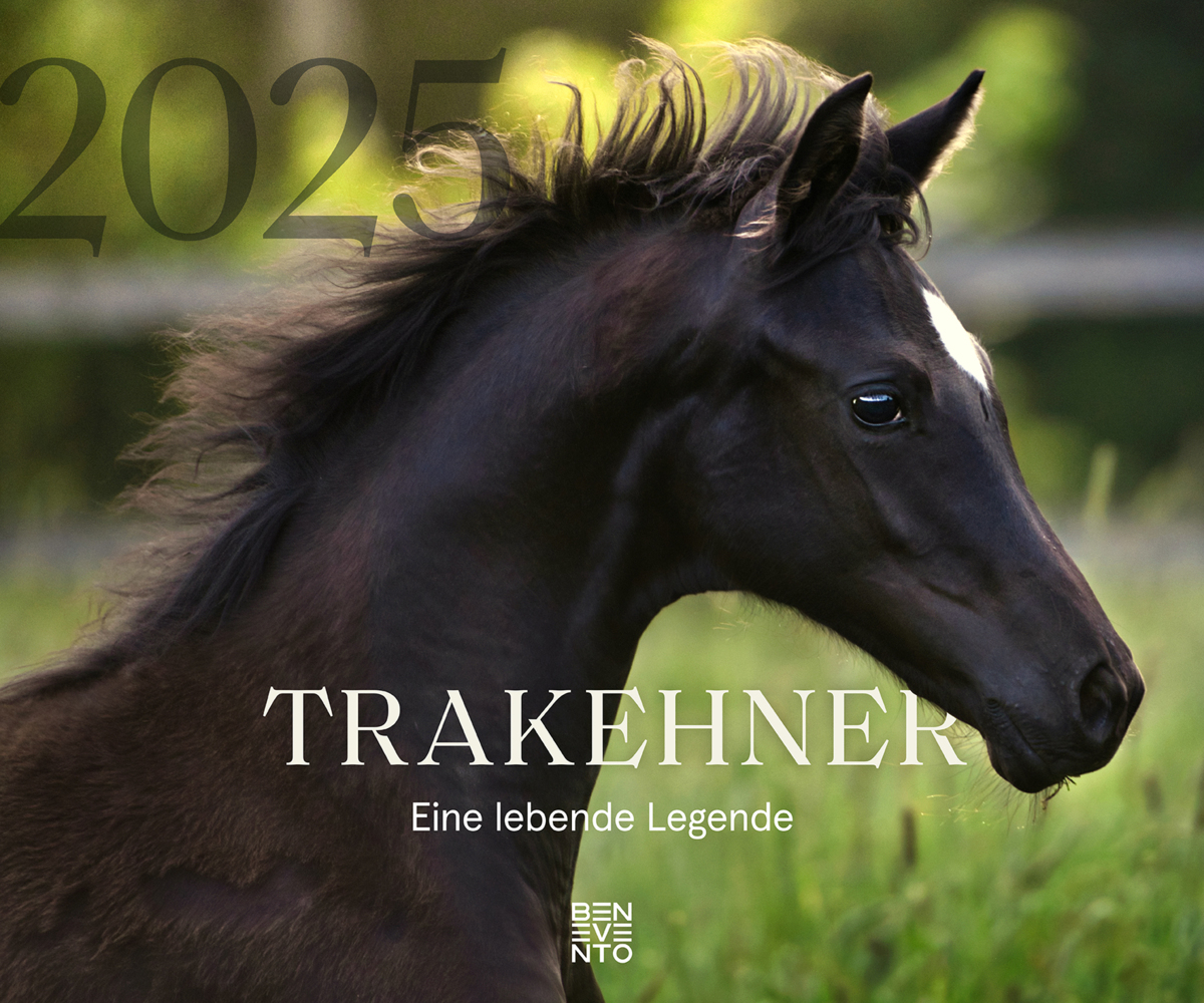 Cover: 9783710901782 | Trakehner 2025 | Eine lebende Legende | Kalender | Spiralbindung