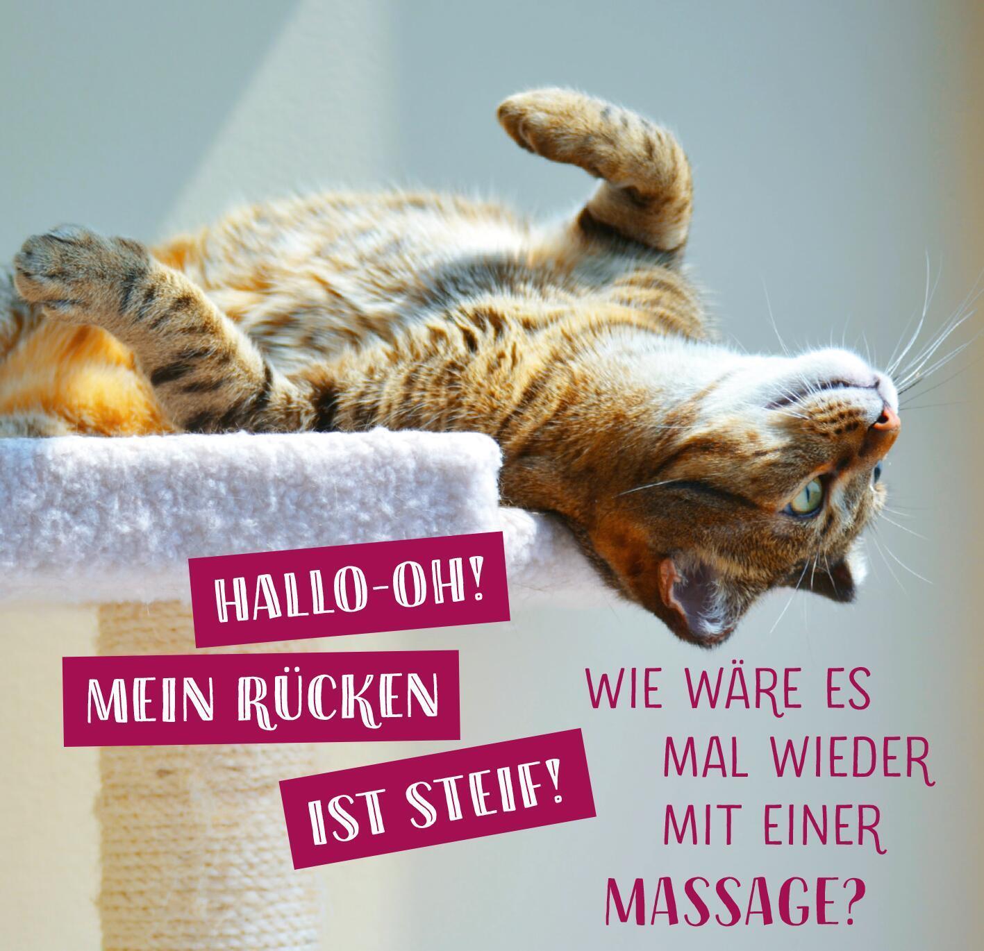 Bild: 9783845855943 | Die ganze Wahrheit über deine Katze | Was Katzen wirklich denken!