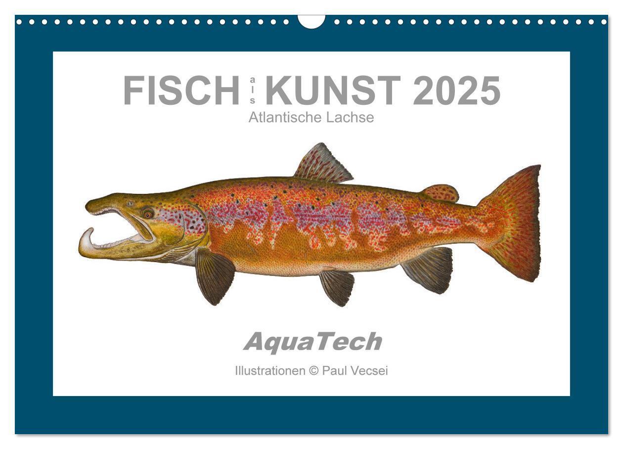 Cover: 9783383772634 | Fisch als Kunst 2025: Atlantische Lachse (Wandkalender 2025 DIN A3...