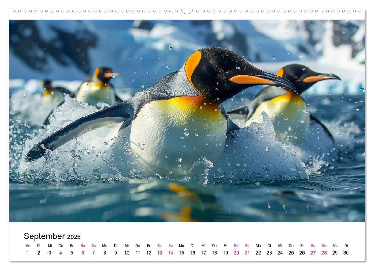 Bild: 9783457164495 | Maritim pur - Pinguine (hochwertiger Premium Wandkalender 2025 DIN...