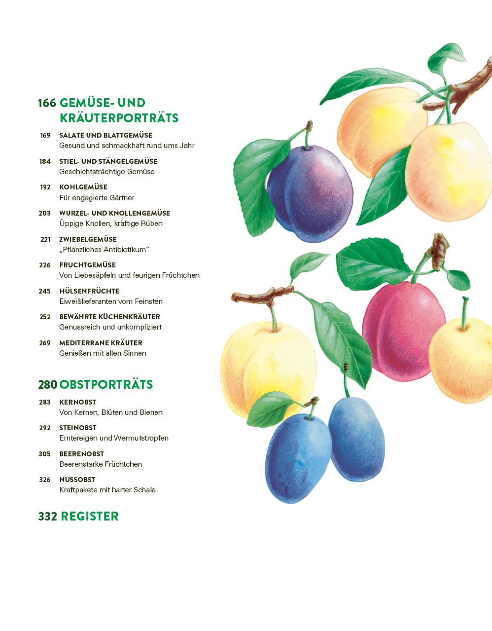 Bild: 9783747109120 | Das große Gemüse- und Obstgartenbuch | Joachim Mayer | Taschenbuch