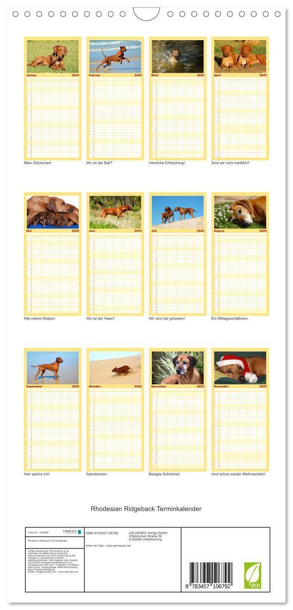 Bild: 9783457106792 | Familienplaner 2025 - Rhodesian Ridgeback Terminkalender mit 5...