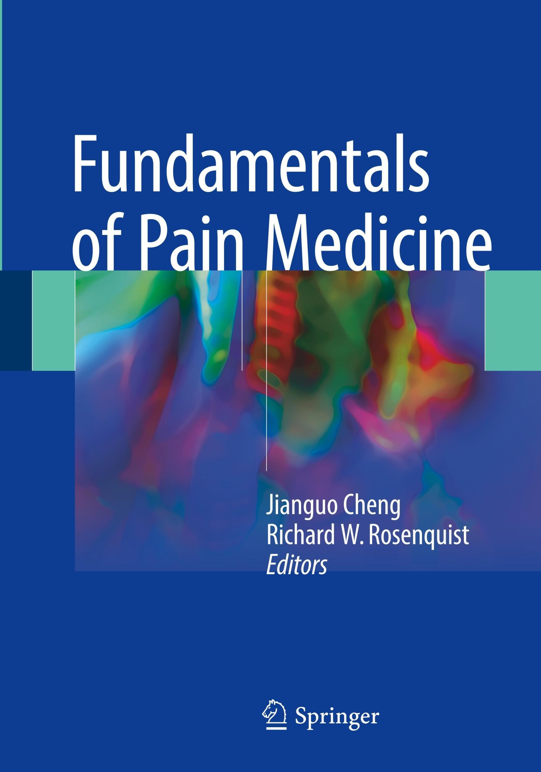 Cover: 9783319649207 | Fundamentals of Pain Medicine | Richard W. Rosenquist (u. a.) | Buch