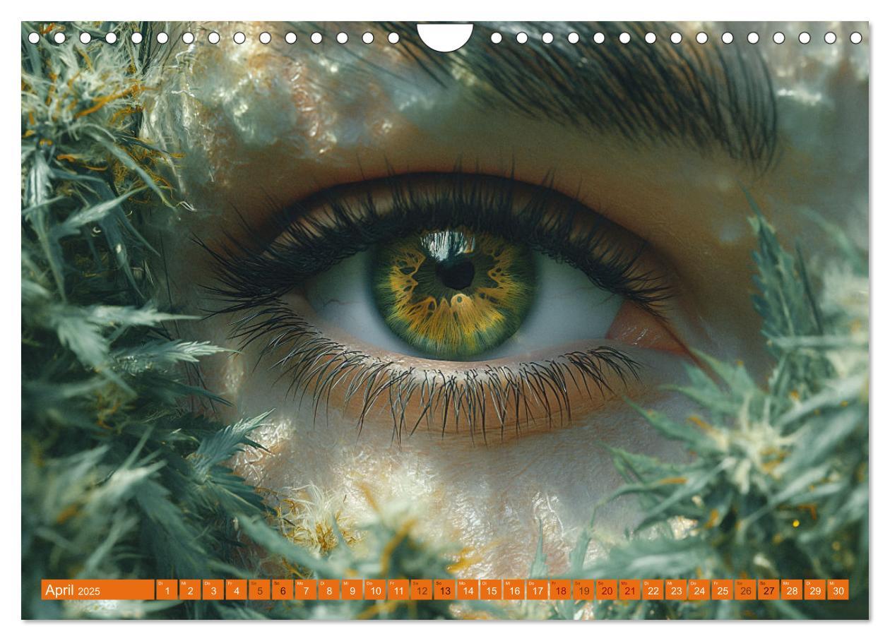 Bild: 9783383764653 | High Moments - Ein Jahr im Zeichen von Cannabis (Wandkalender 2025...