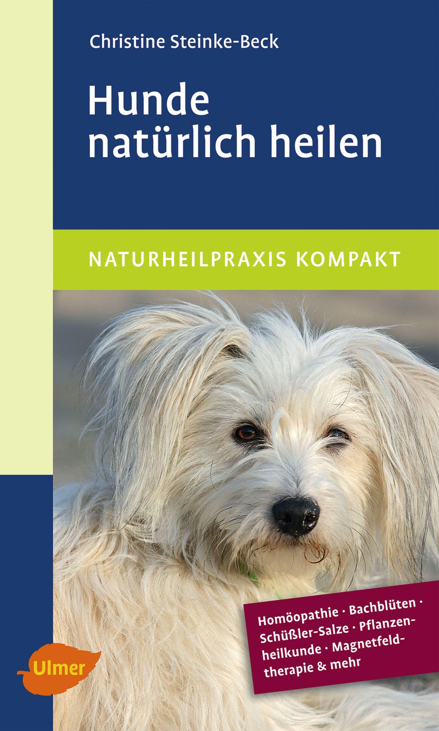 Cover: 9783800157570 | Hunde natürlich heilen | Christine Steinke-Beck | Taschenbuch | 110 S.